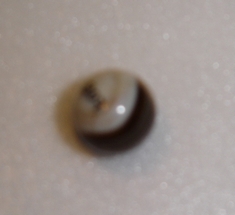 Bola de gude