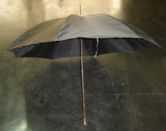 Guarda-chuva