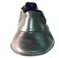 Borzeguim