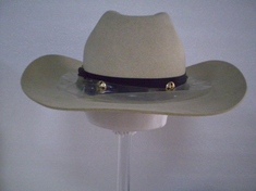 Chapéu (masculino)