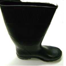 Bota