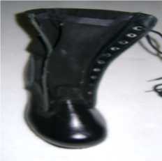 Sapato (pé esquerdo)