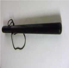 Bastão