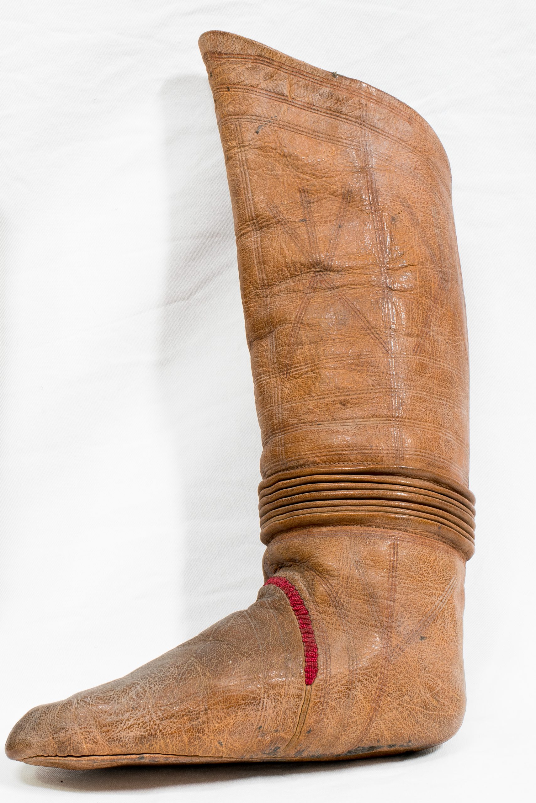 Bota