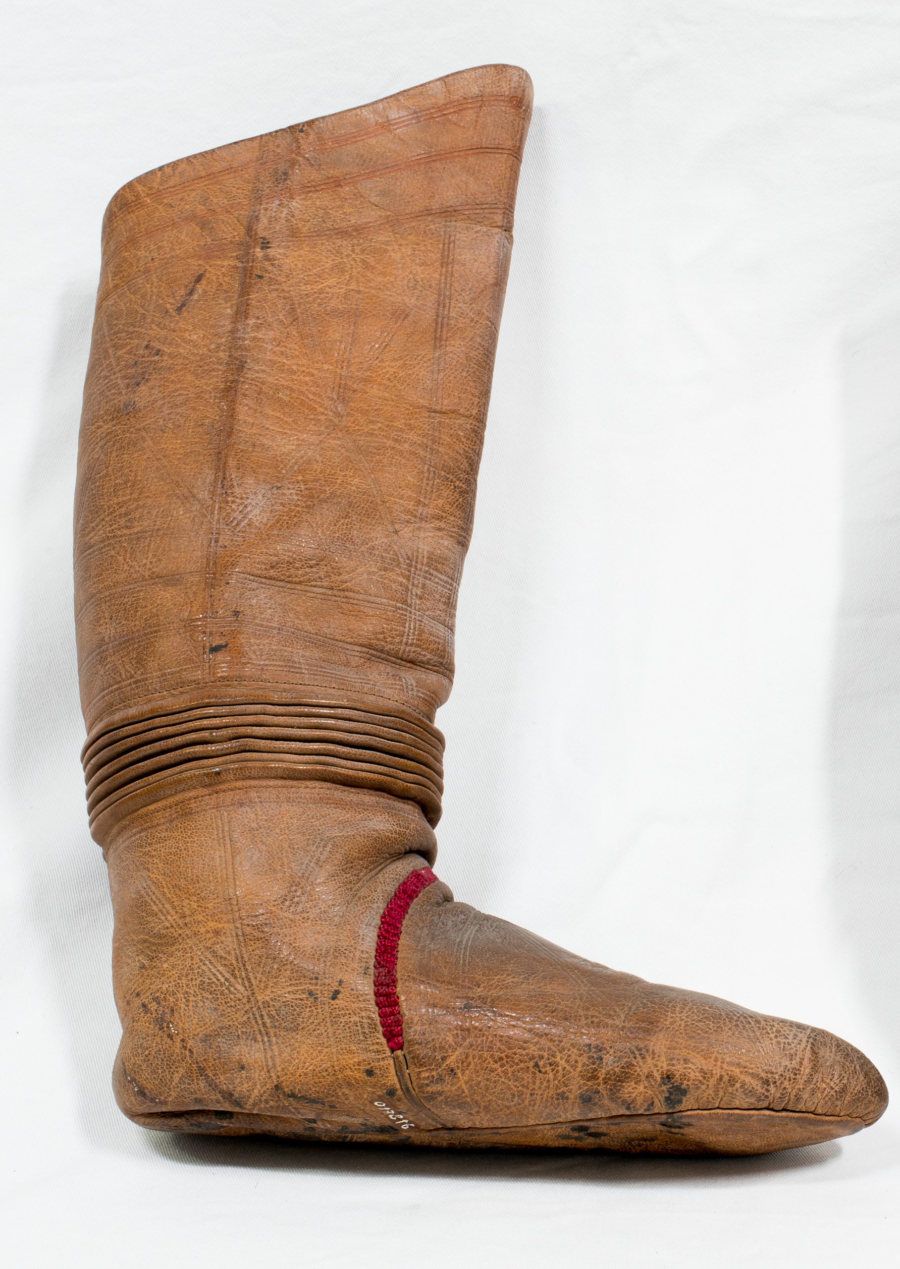 Bota