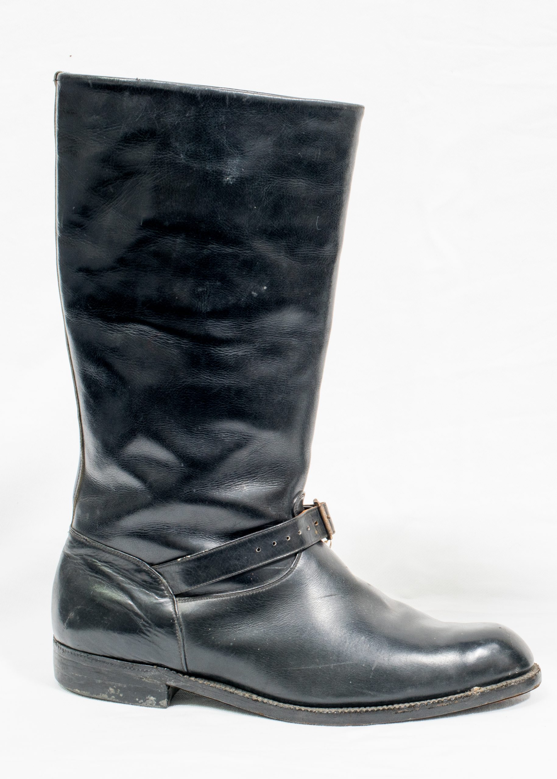 Bota