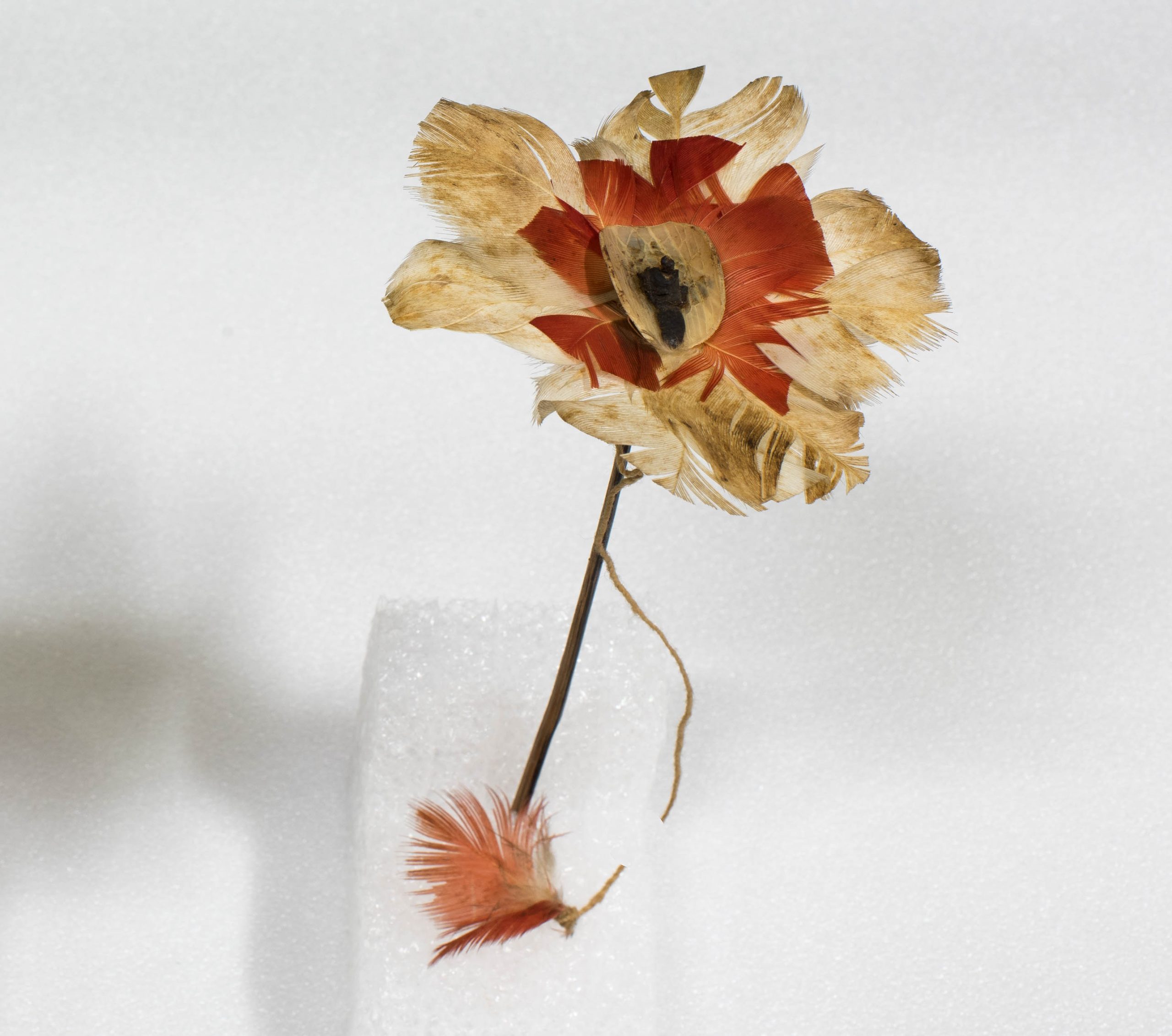 Adorno auricular