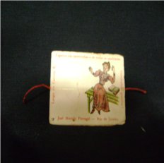 Brinquedo; thaumatrope