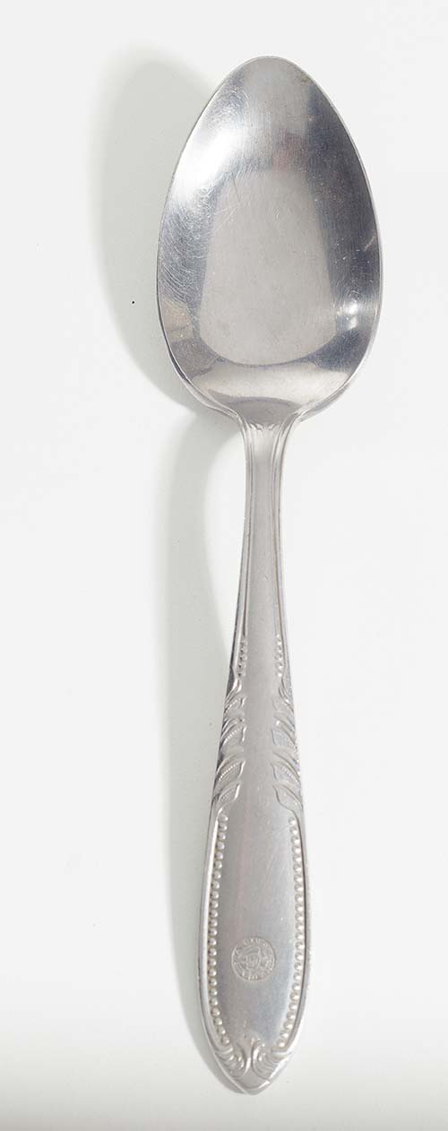 Colher de sopa