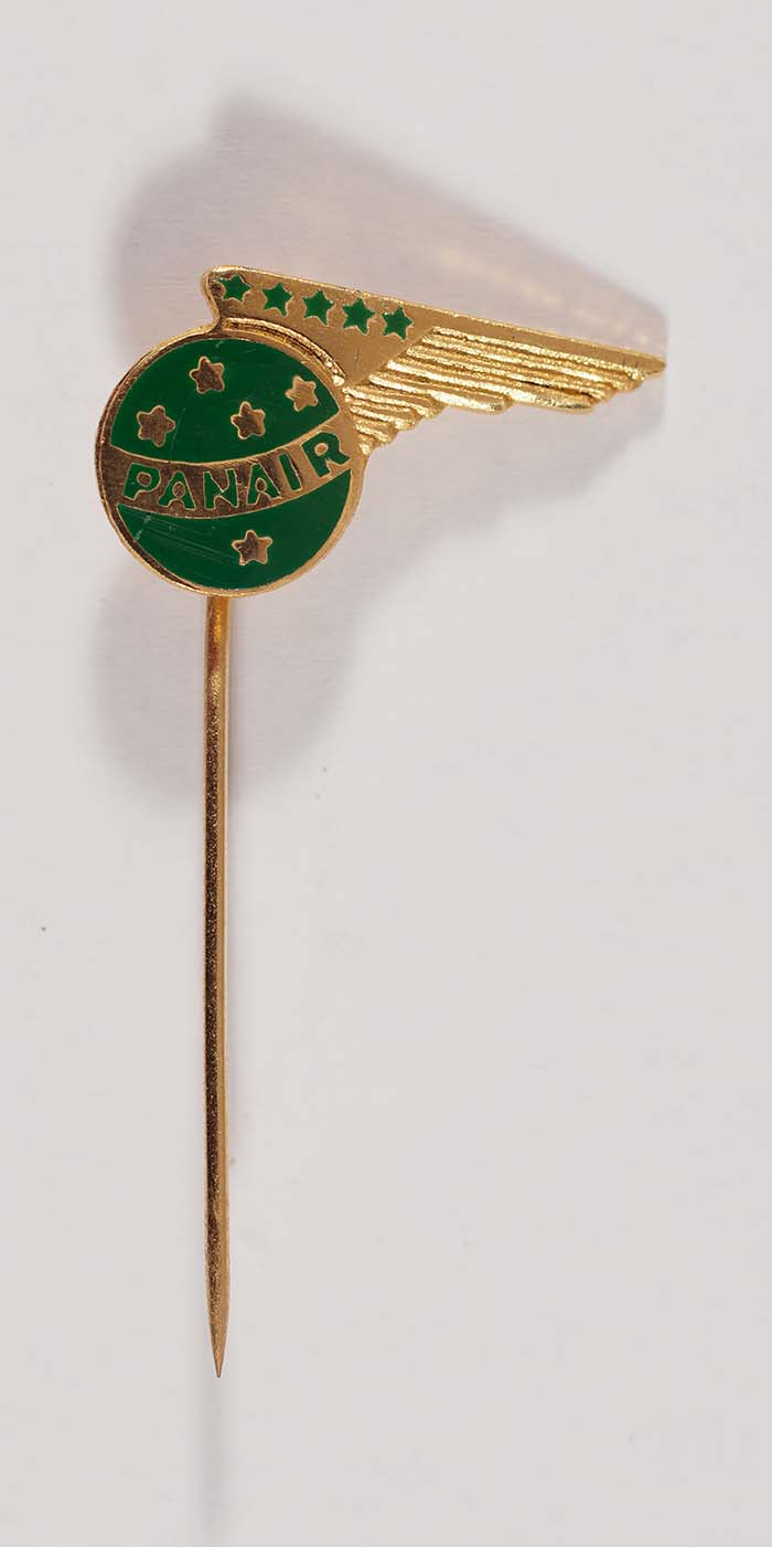 Alfinete (indumentária)