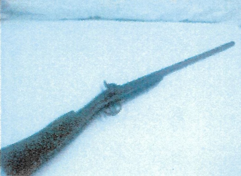 Carabina